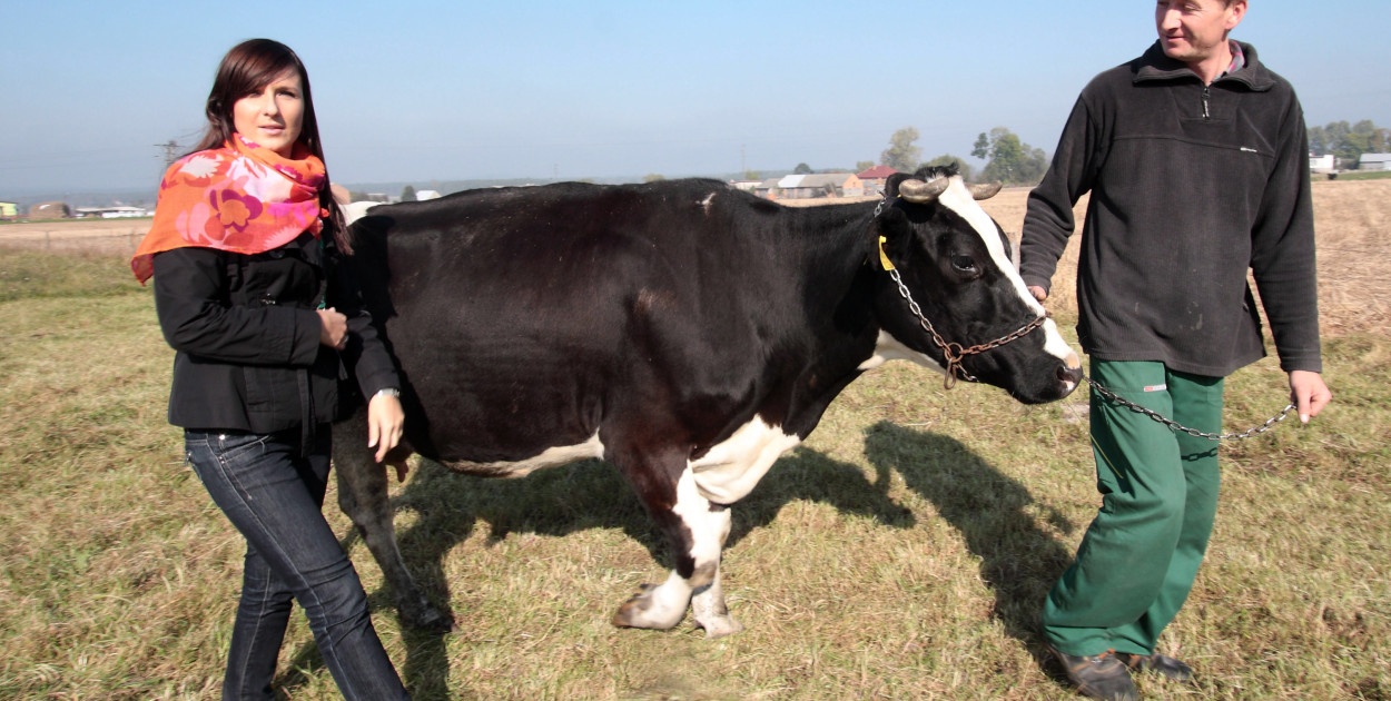 Rusza tzw. mały spis rolny - kiedy i jak się spisać?