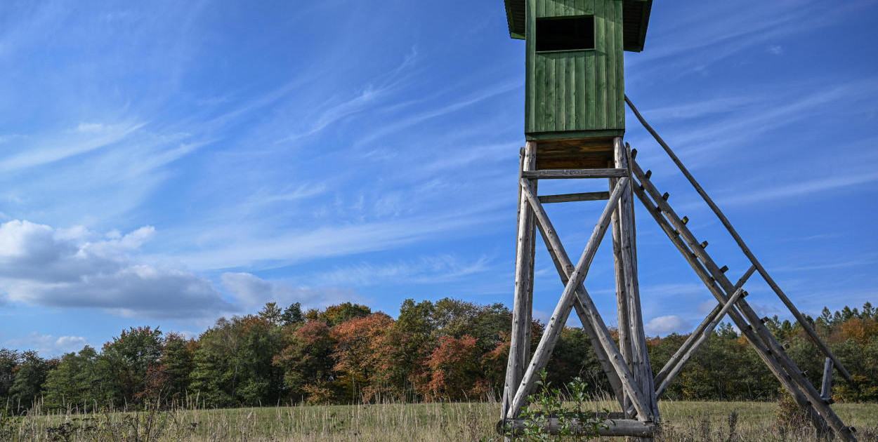 Prokuratura i wojewoda zaskarżyli wyrok ws. zastrzelenia dwóch łosi na polowaniu