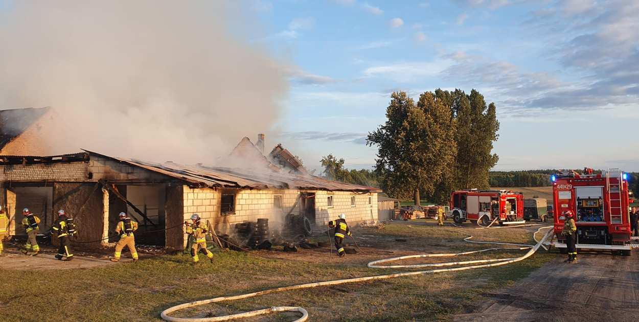 Pożar został opanowany w późnych godzinach nocnych. Niestety część zwierząt znajdujących się w budynku obory spłonęło (Fot. OSP Zaskrodzie)