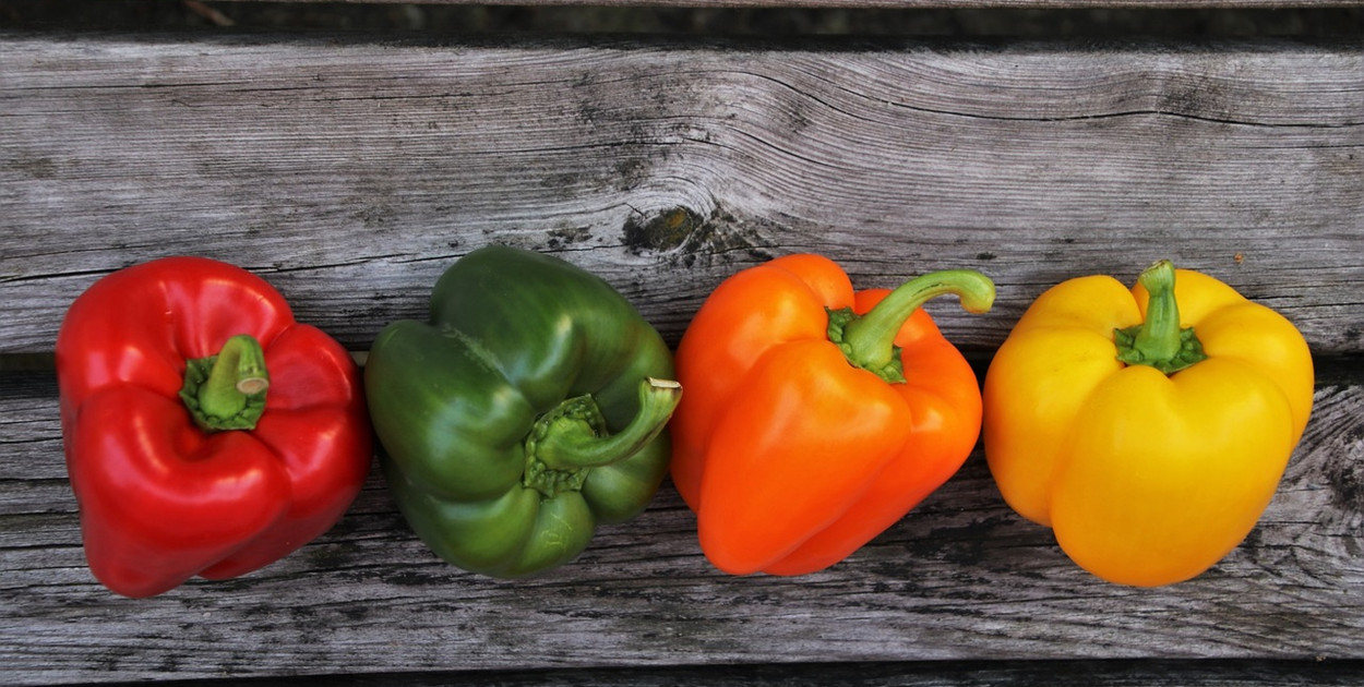 Dietetyk Sportowy w Krakowie – Świadomiejemy