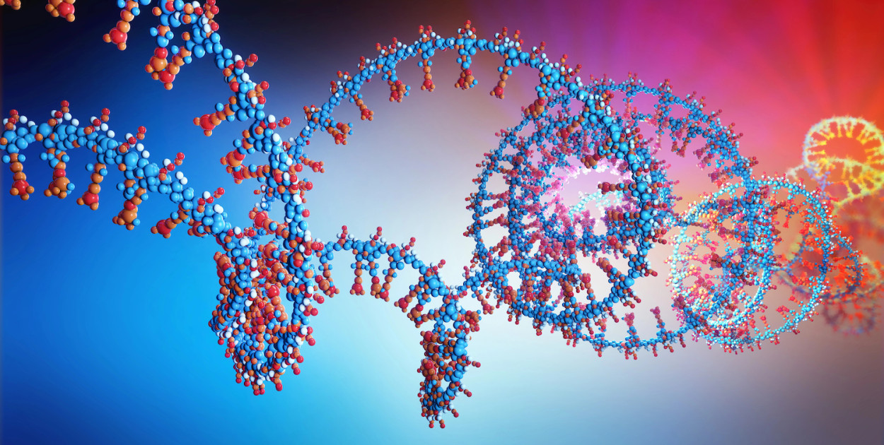 Nukleotydy - co to jest i kiedy należy stosować?