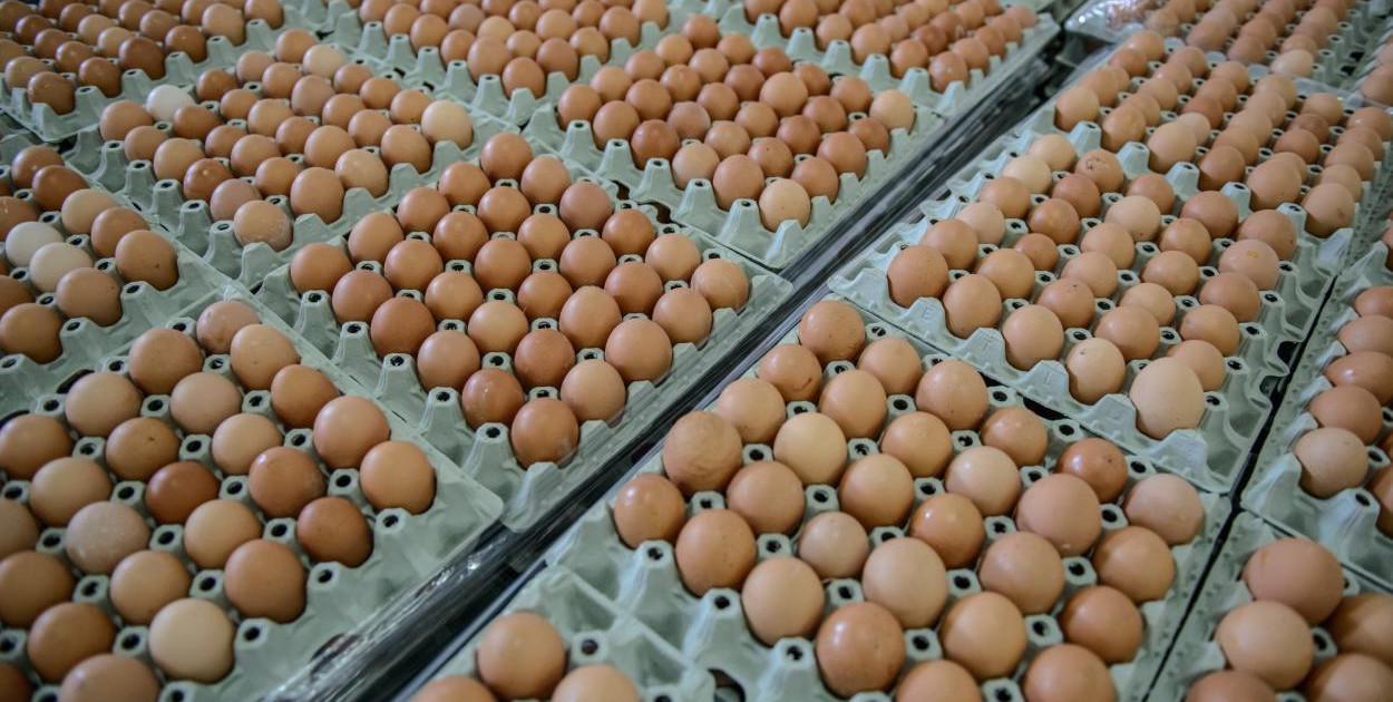 Producenci jaj: będzie drożej, ceny jaj w hurcie rosną