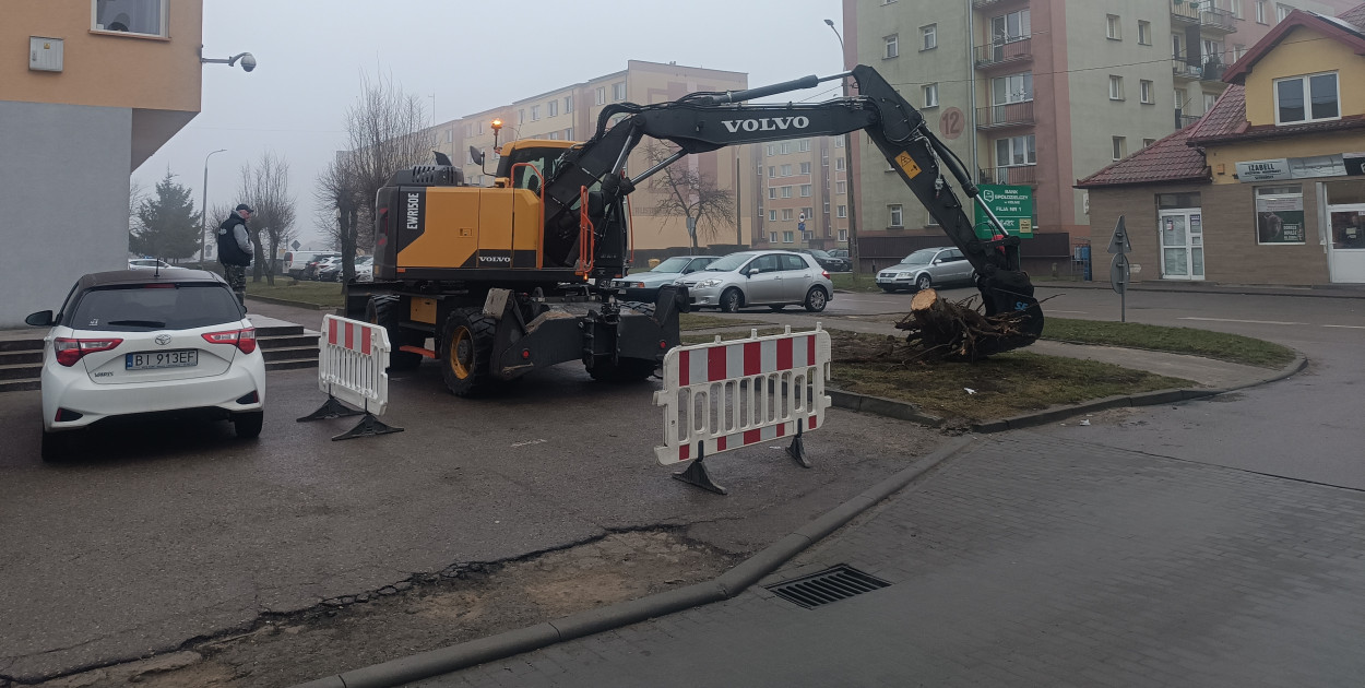 Kilka drzew wycięto już wcześniej, a dzisiaj (6.02) karczowano kolejne
