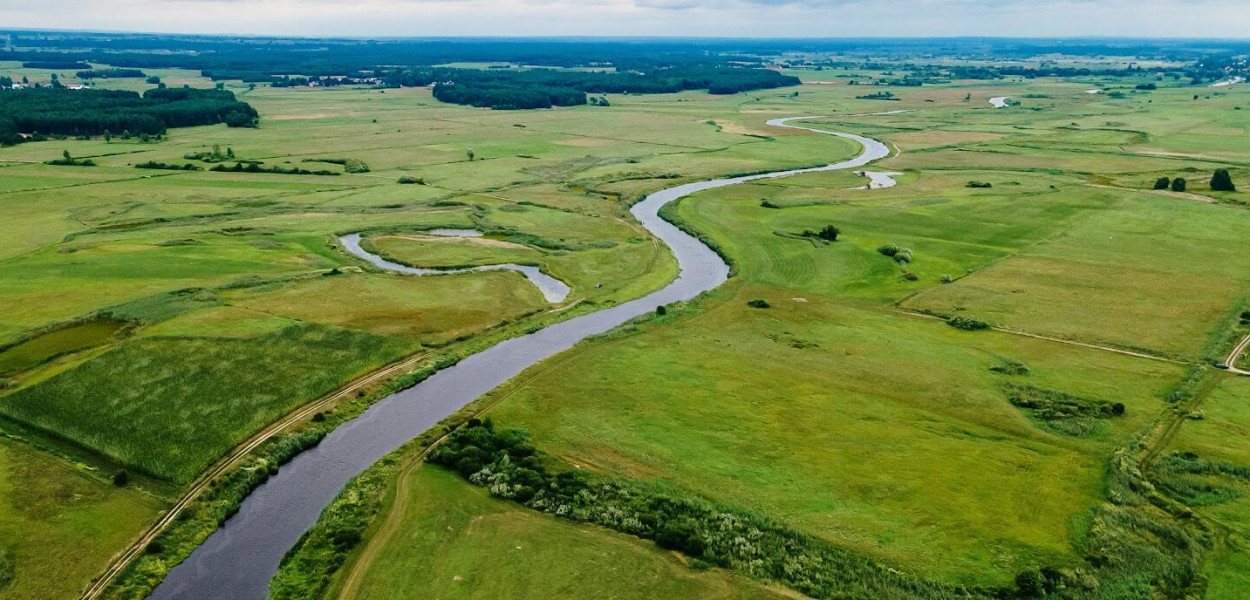 Rzeka Narew (fot. UMWP)
