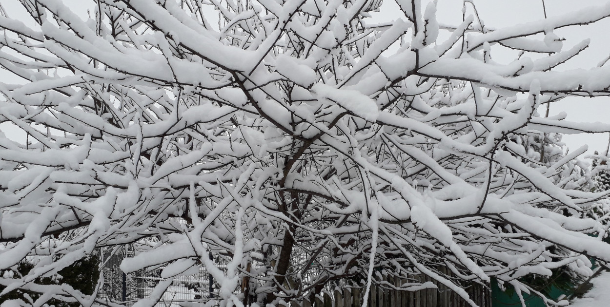 W sobotę od Pomorza po Podlasie może spaść do 15 cm śniegu. Będzie tam wiał porywisty wiatr ok. 60-80 km/h, który spowoduje miejscami zawieje i zamiecie śnieżne - poinformowała PAP Ilona Śmigrocka, synoptyk Centralnego Biura Prognoz Instytutu Meteorologii i Gospodarki Wodnej