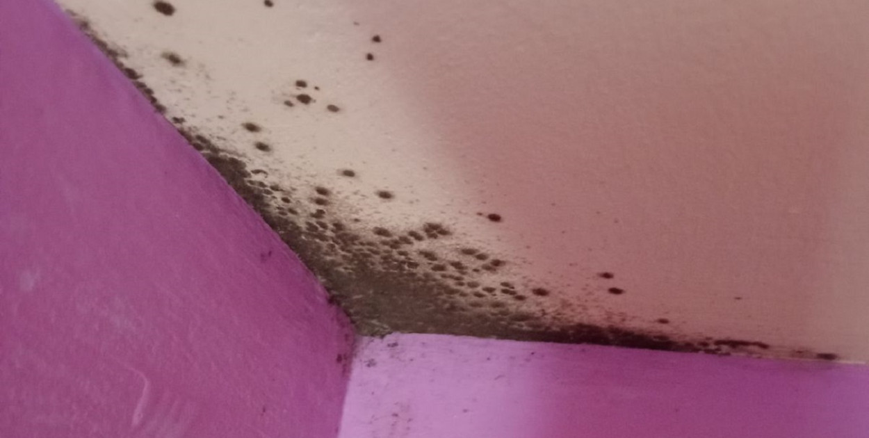 Na poddaszu budynku nie stwierdzono przecieków dachu tj. wełna mineralna, strop oraz elementy więźby dachowej były suche (oględzin dokonano po opadach deszczu wraz z pomiarem stanu wilgotności) - czytamy w informacji Urzędu Miasta Kolno