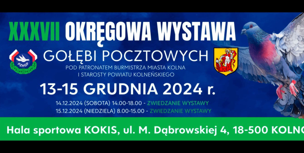 Środki uzyskane z aukcji zostaną przeznaczone na leczenie Zosi Trzcińskiej, która zmaga się z wieloma chorobami.