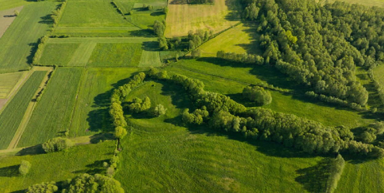 Grodzisko i osada w Truszkach-Zalesiu, fot. Miron Bogacki