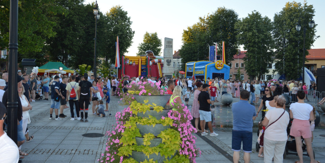 Zdecydowana większość kosztów jubileuszu to organizacja dwudniowych uroczystości w parku miejskim, w tym honoraria dla popularnych gwiazd muzycznych