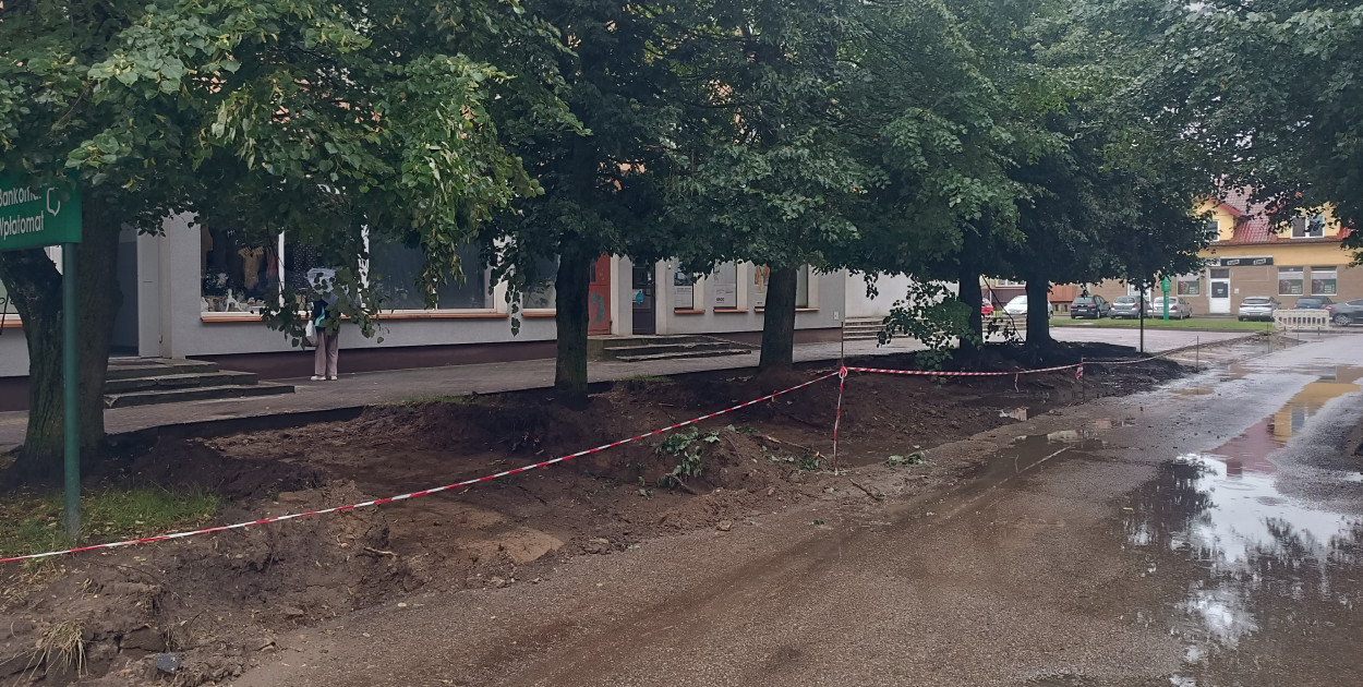 Między drzewami mają powstać dodatkowe miejsca parkingowe