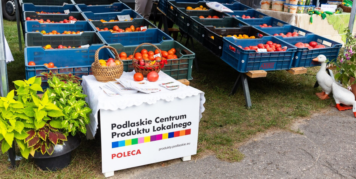 Konkurs – Najładniejsze stoisko producenta produktu lokalnego / Kamil Timoszuk