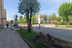 Przejścia na 11 listopada w Kolnie-5082