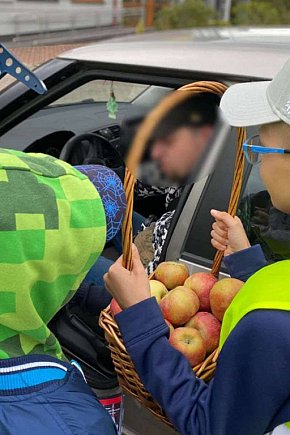 JABŁKO CZY CYTRYNA?-5108