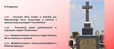 Rocznica Bitwy pod Piasutnem Żelaznym-1323