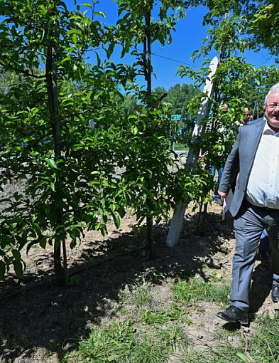 Minister rolnictwa zapowiedział wsparcie sadowników, których uprawy zniszczyły...-34505