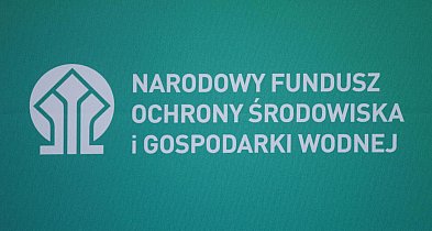 NFOŚiGW: start programu dopłat do przydomowych wiatraków planowany na 2.-3. kwa...-34713