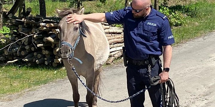 Policjanci złapali konia-34755