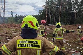 Nasi strażacy ćwiczyli gaszenie pożaru lasu-35480