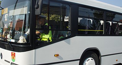 Szykuje się rewolucja w transporcie szkolnym Gminy Kolno?-39034