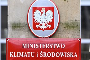 Projekt dotyczący wycinki drzew na prywatnej działce... - 44229