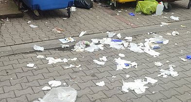Śmietnik przy śmietniku w Kolnie-44246