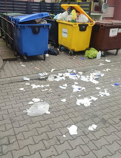 Śmietnik przy śmietniku w Kolnie-44246