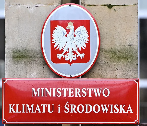 Projekt dotyczący wycinki drzew na prywatnej działce... - 44229