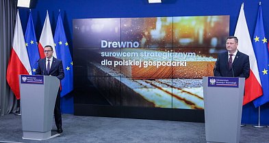 Ministerstwo rozwoju zamierza zaliczyć drewno do surowców strategicznych-44738