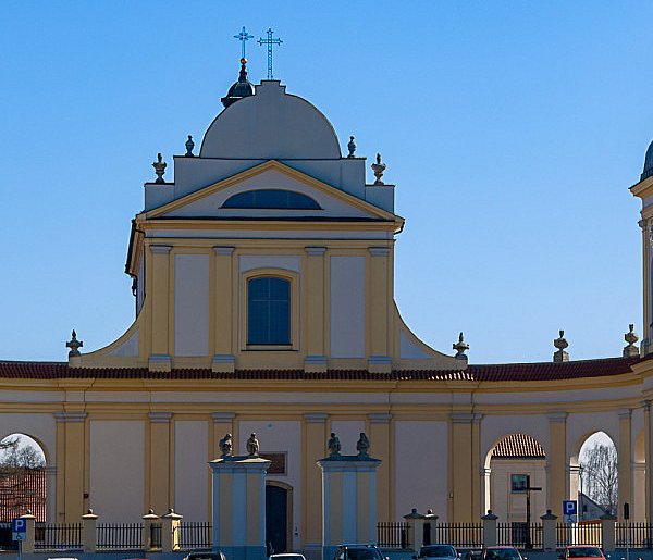 Królowie Polscy a Tykocin. Historia związków monarchii z miastem-45677