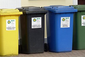 Koniec z darmowymi workami na śmieci. Tak zmieniają się zasady w gminach-45896
