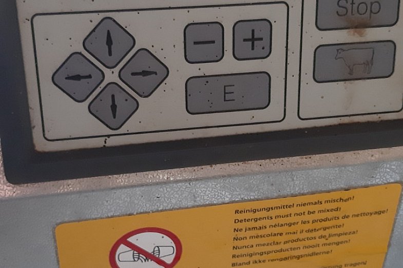 zdjecie ogloszenia