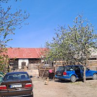 zdjecie ogloszenia