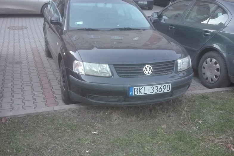 zdjecie ogloszenia