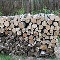 zdjecie ogloszenia