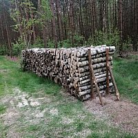 zdjecie ogloszenia