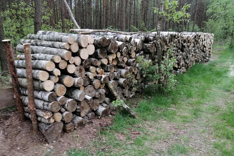 zdjecie ogloszenia