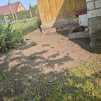 zdjecie ogloszenia