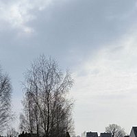 zdjecie ogloszenia