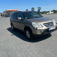 zdjecie ogloszenia