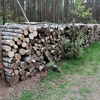 zdjecie ogloszenia