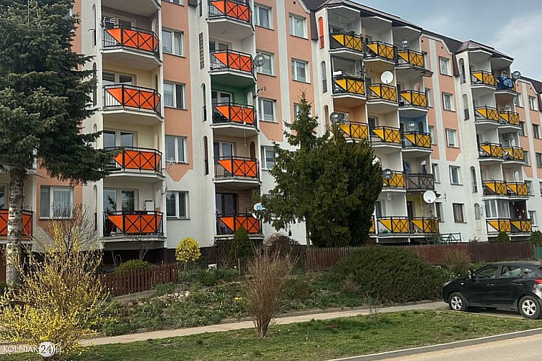 zdjecie ogloszenia