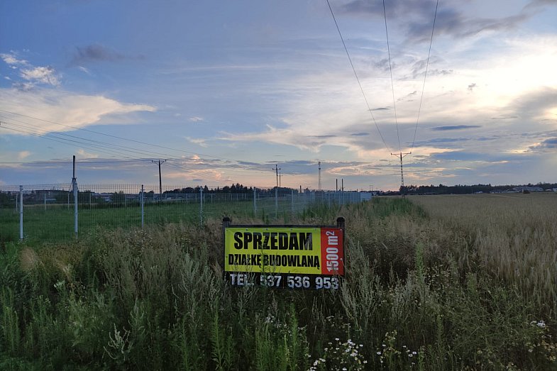zdjecie ogloszenia