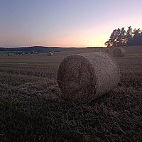 zdjecie ogloszenia