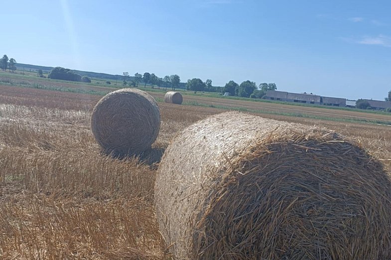 zdjecie ogloszenia
