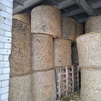 zdjecie ogloszenia