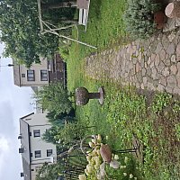 zdjecie ogloszenia