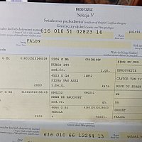 zdjecie ogloszenia