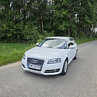 zdjecie ogloszenia