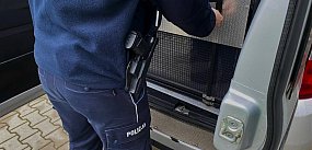 Mieszkaniec Kolna był poszukiwany za wybryk chuligański