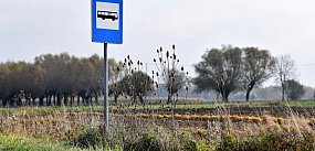 Kto dostał dofinansowanie na przewozy autobusowe?